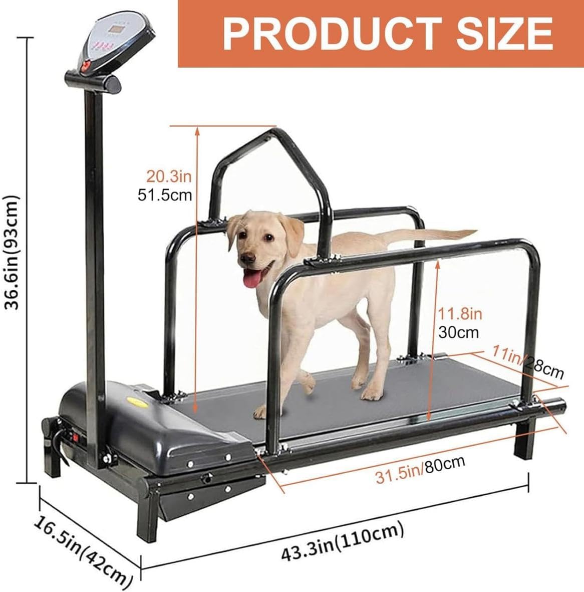 Indoor Treadmill for Medium Dogs