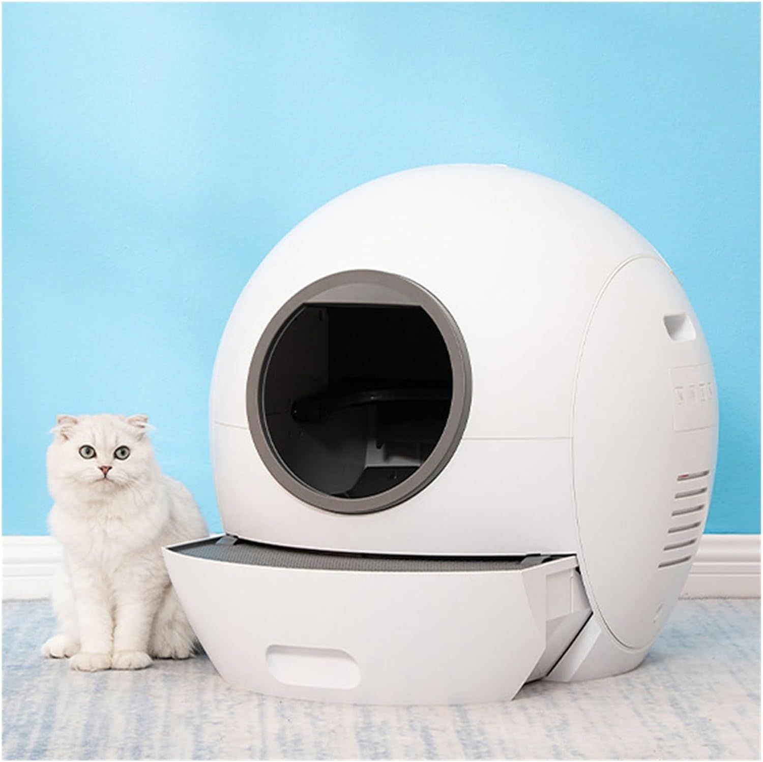 Self-Cleaning Cat Litter Box