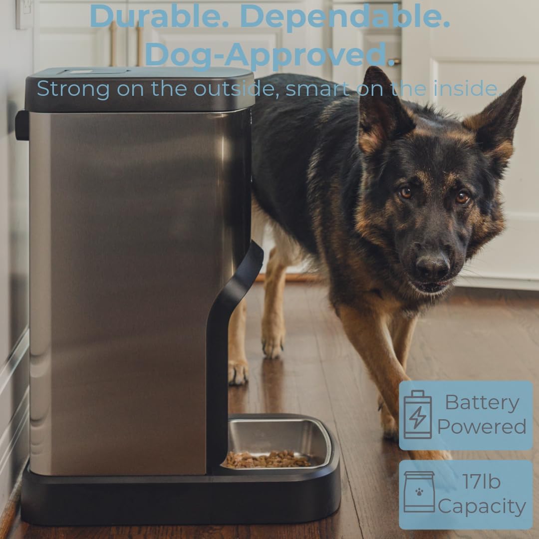 SMARTFeeder Large Capacity Automatic Dog Feeder