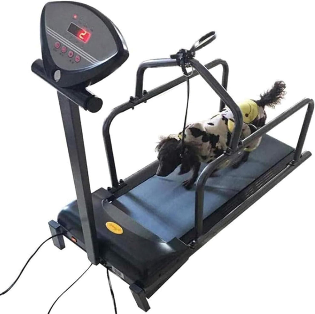 Indoor Treadmill for Medium Dogs