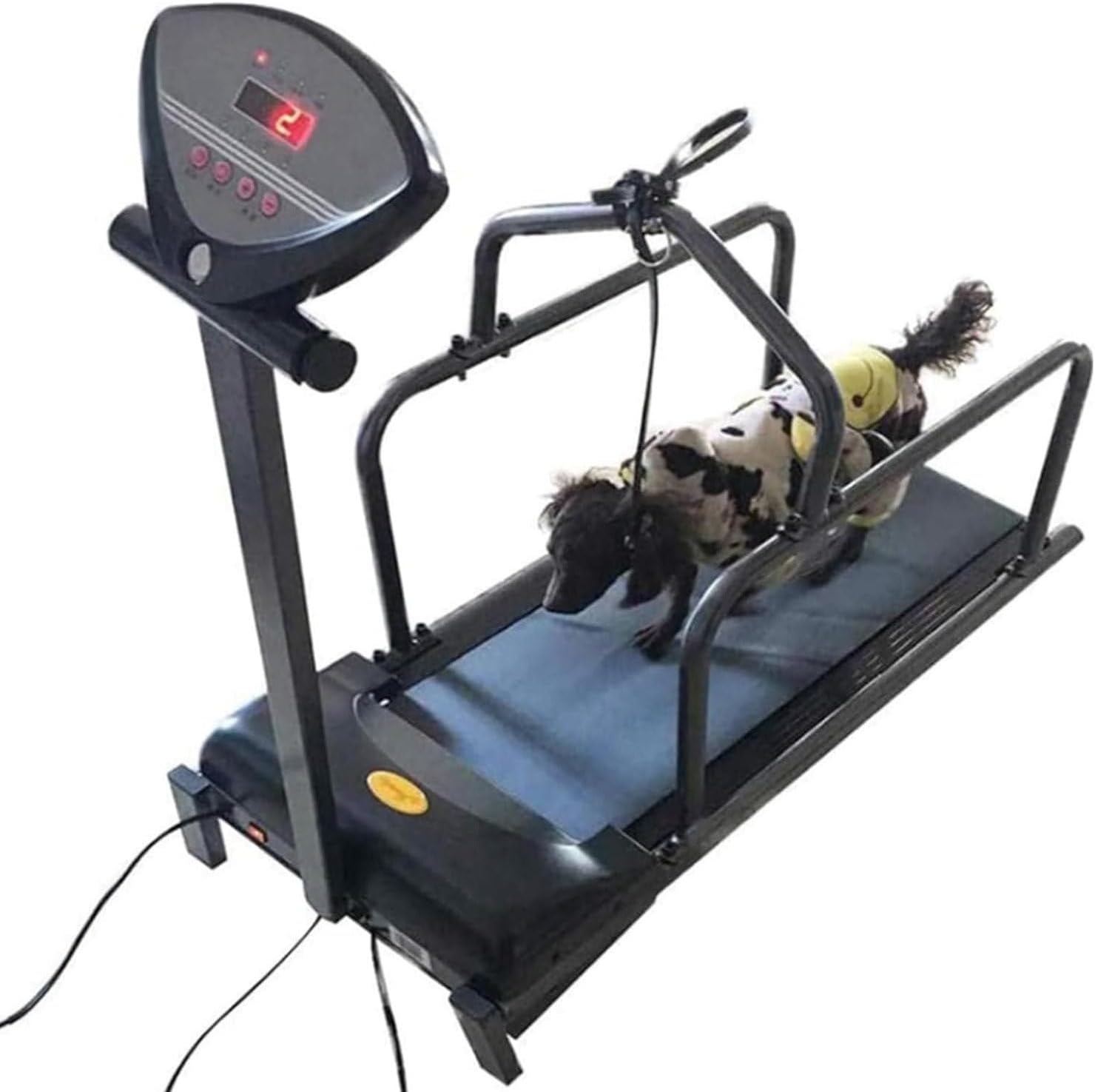 Indoor Treadmill for Medium Dogs