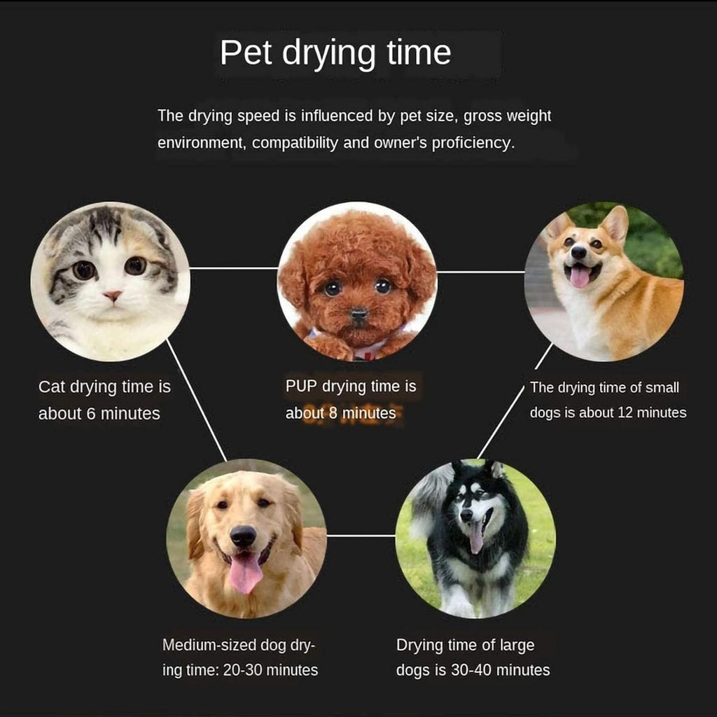 Silent high-power Blowing Machine for Pets