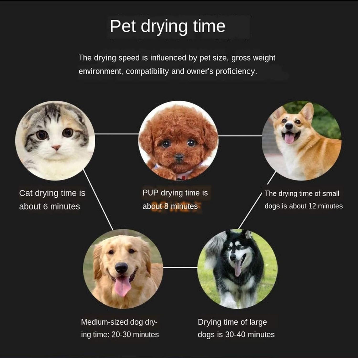 Silent high-power Blowing Machine for Pets