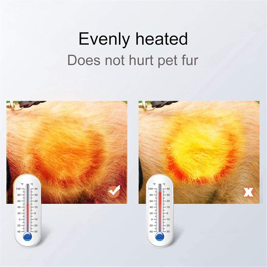 Silent high-power Blowing Machine for Pets