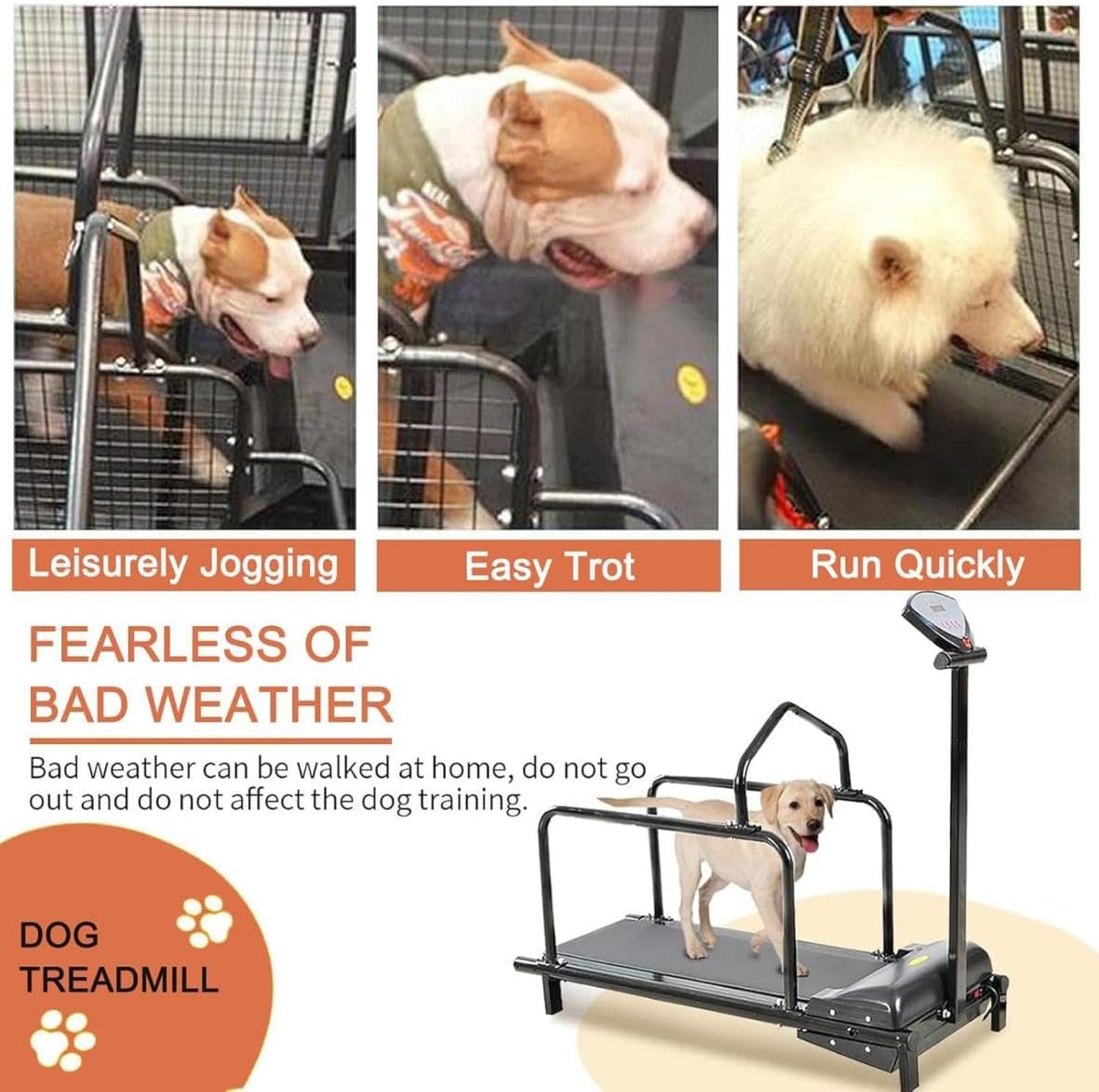 Indoor Treadmill for Medium Dogs