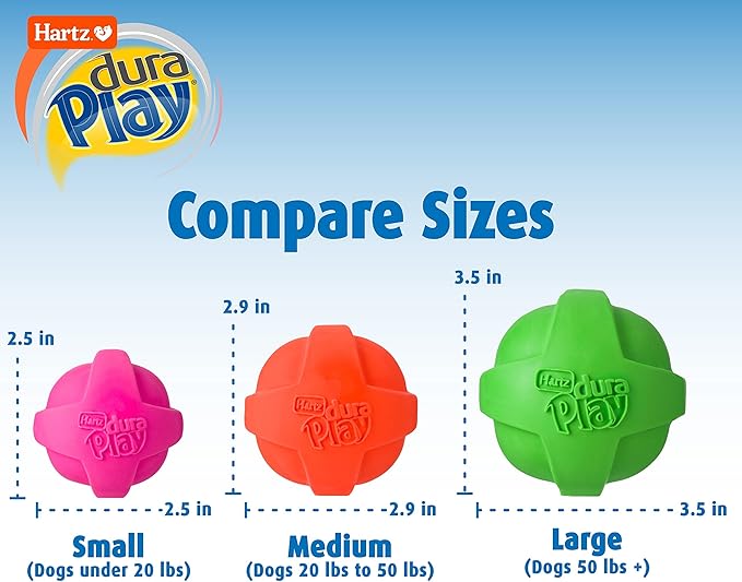 Hartz DuraPlay Ball Squeaky Latex Dog Toy, Neon Green, Neon Pink & Neon Orange, Large 3 Count Pack