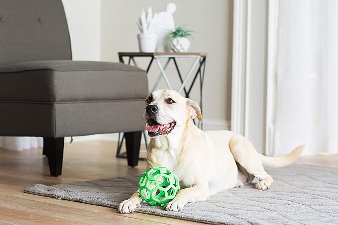 JW Pet Hol-ee Roller Dog Toy Puzzle Ball, Natural Rubber, Large (5.5 Inch Diameter)