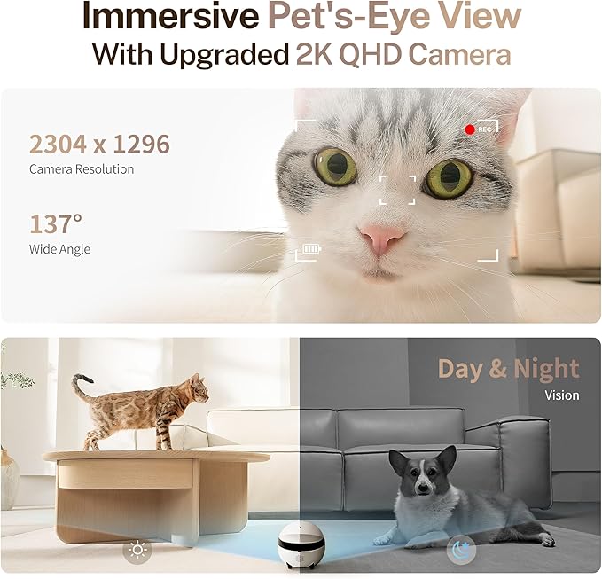 Enabot EBO ROLA Mini FamilyBot 2K Pet Camera Robot: Movable Indoor Camera Battery-Powered with Phone App, One-Touch Call, 2-Way Talk, Night Vision, Motion Detection, Video Recording