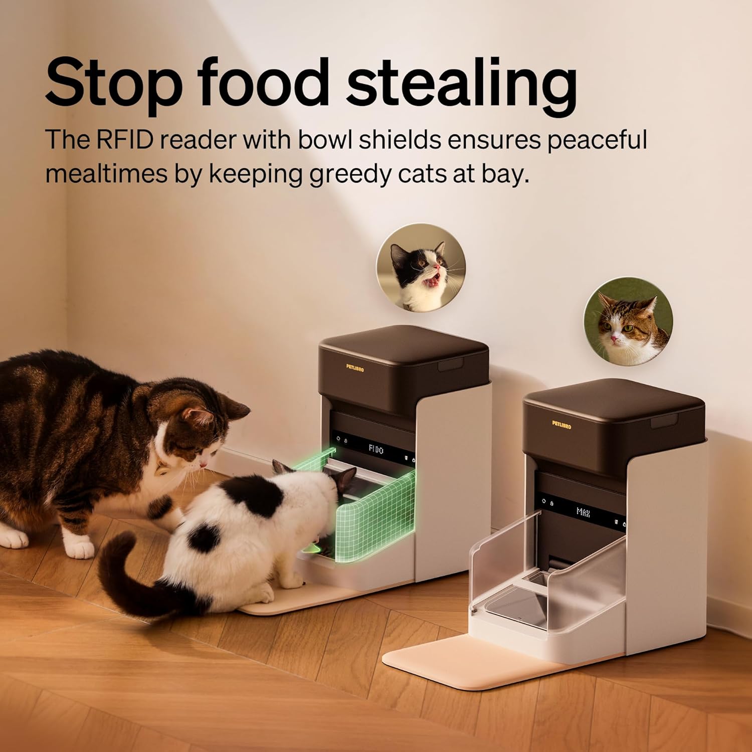 PETLIBRO RFID Automatic Cat Feeder